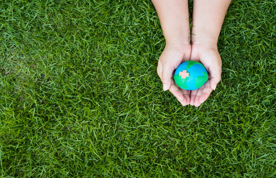 Día Mundial del Medio Ambiente