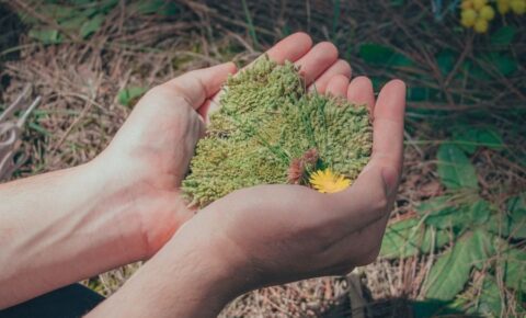 Los efectos del cambio climático en la salud y qué puedes hacer