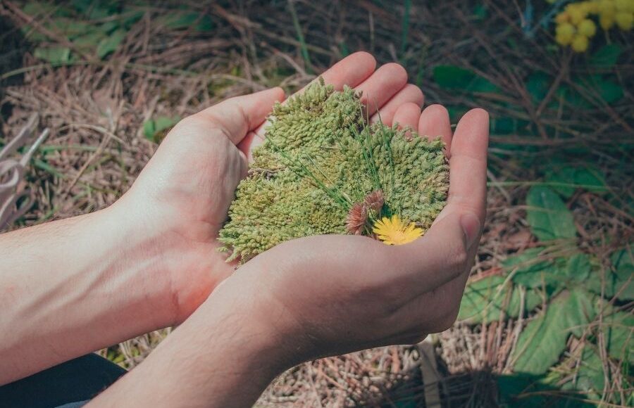 Los efectos del cambio climático en la salud y qué puedes hacer