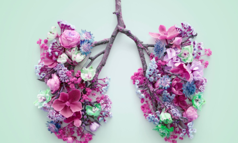 ¿Cómo cuidar mis pulmones en primavera?