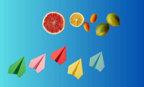 Hoja de Seguimiento de dieta para pacientes de FPI