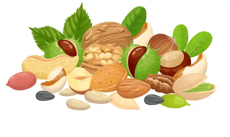 Ilustración de frutos secos: nueces, avellanas, pistachos, almendras, ...