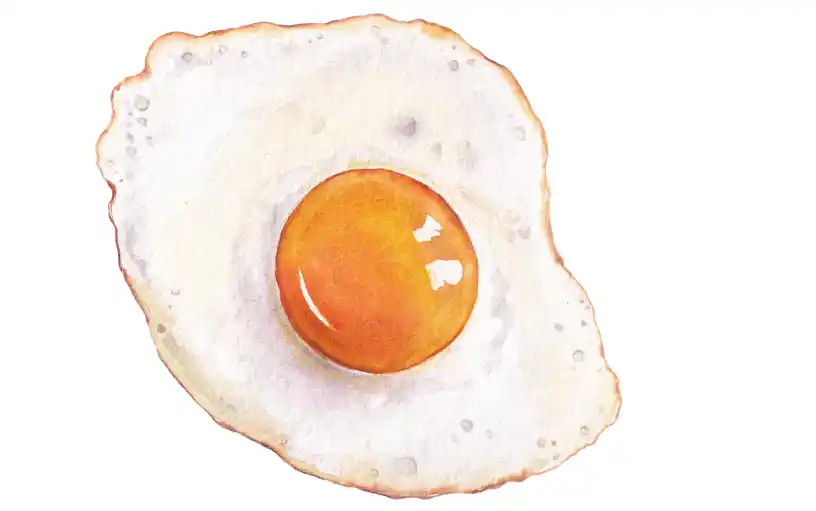 Ilustración de huevo frito.