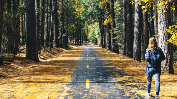 Persona caminando por carretera entre árboles en bosque, paseo al aire libre y bienestar