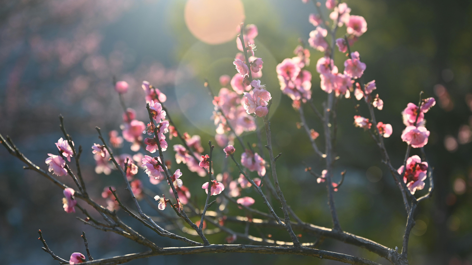 ¿Puede afectar la primavera el tratamiento con CPAP?