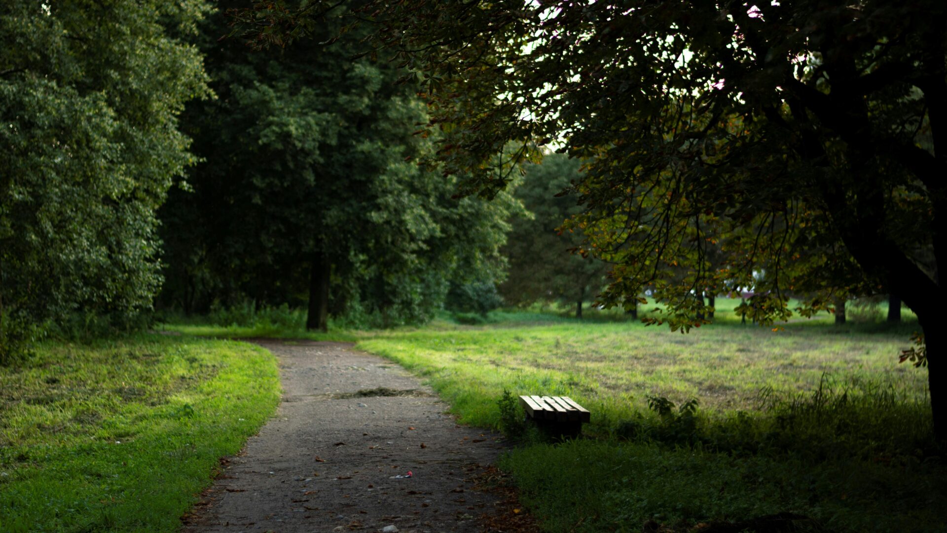 Nuevo informe de sostenibilidad 2025